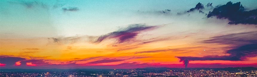 新昌茶虫网_新昌品茶